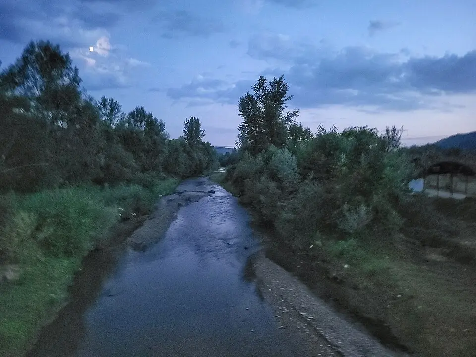 Vulturești