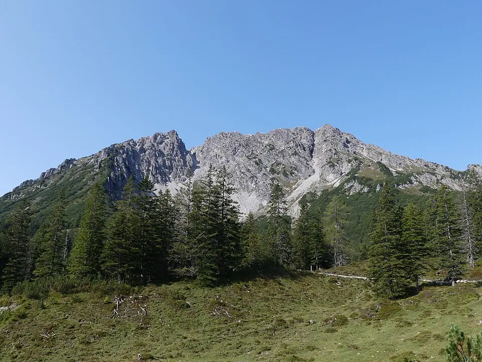 Alpilakopf