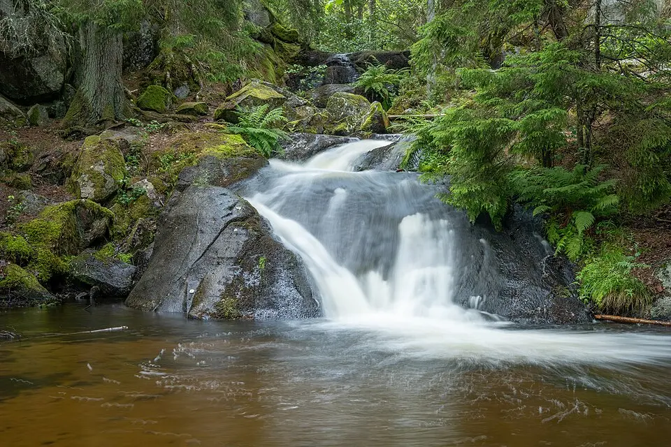 Rävafallet