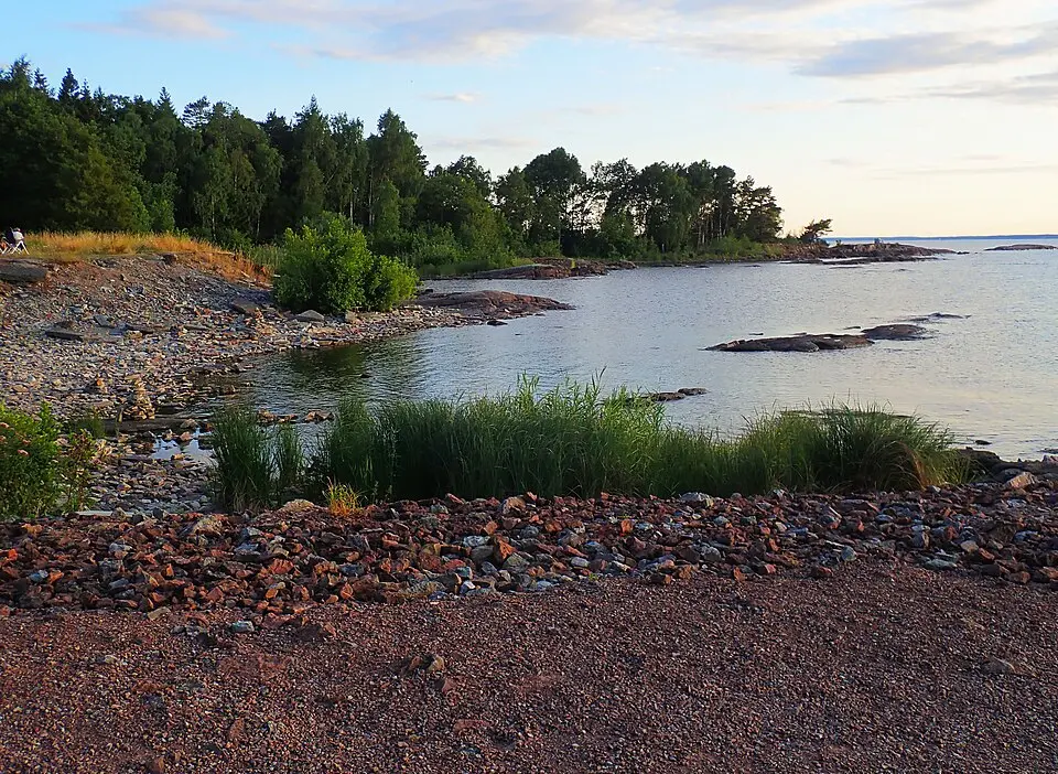 Råbäcks sjöskog