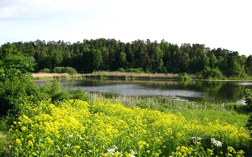 Råcksta träsk