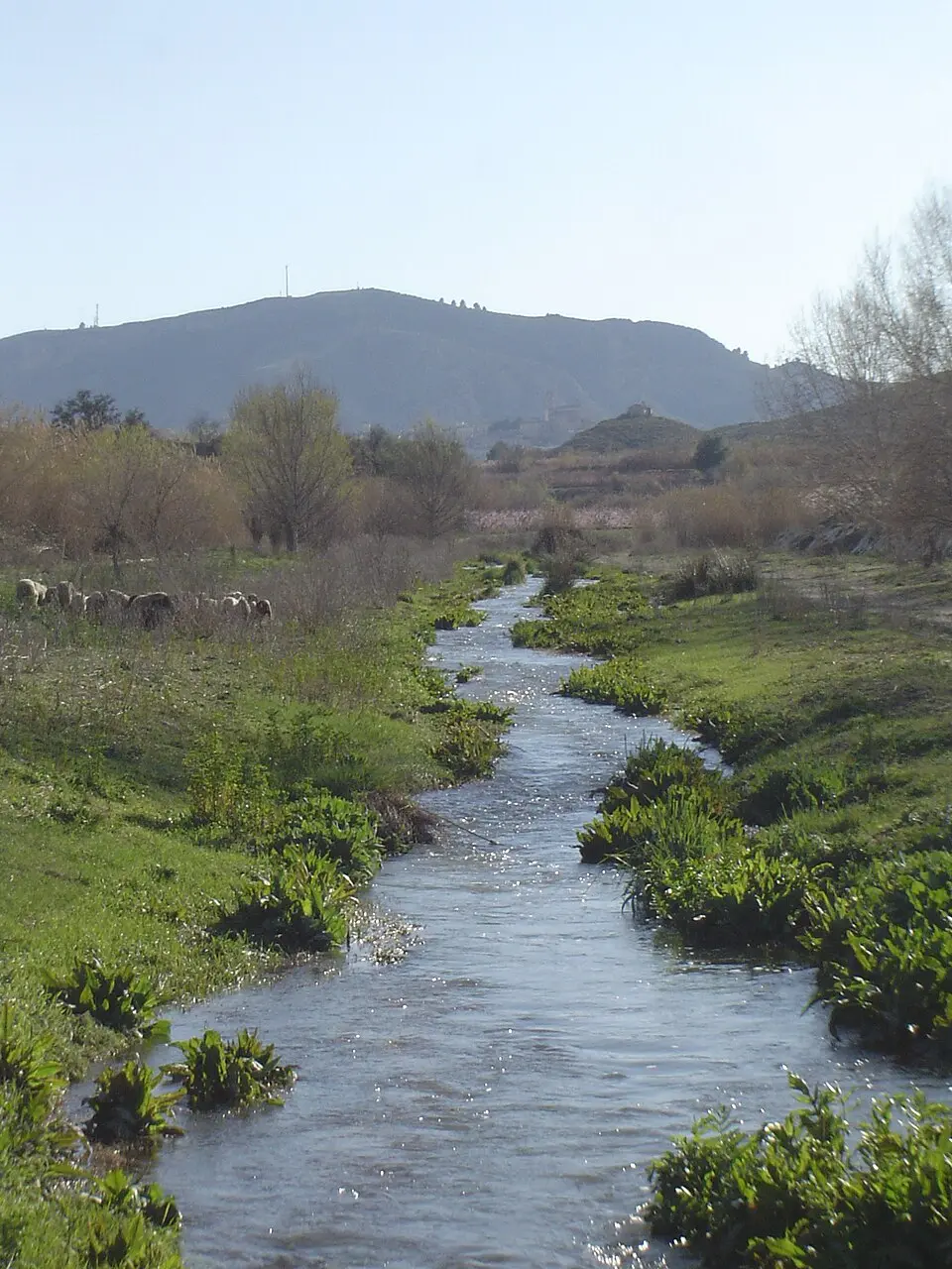 río Argos