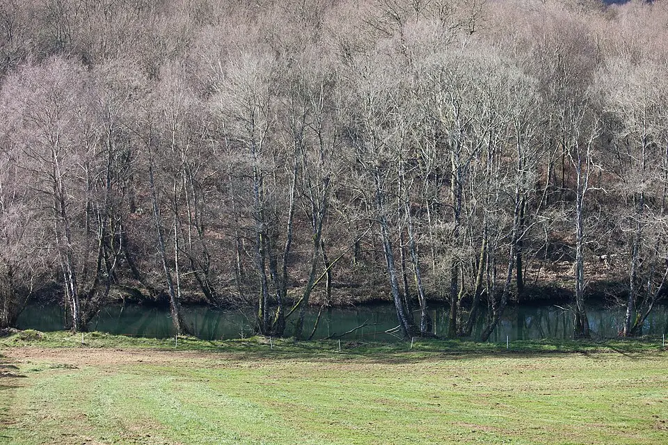 Río Asneiro