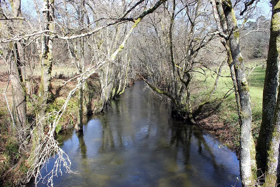 Río Barbantiño