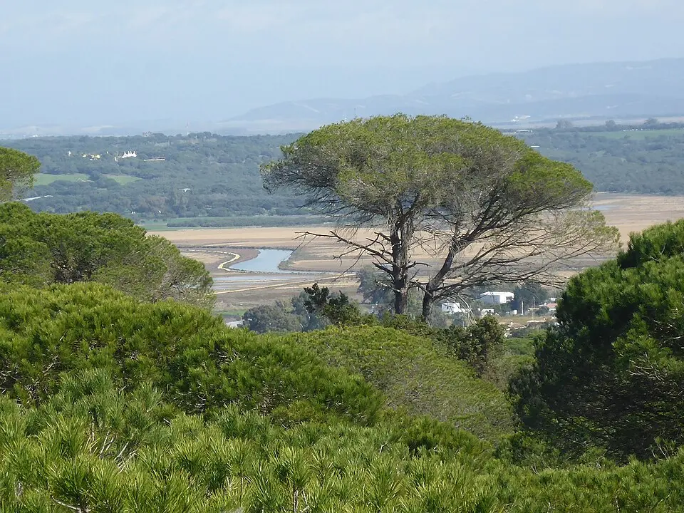 Río Barbate
