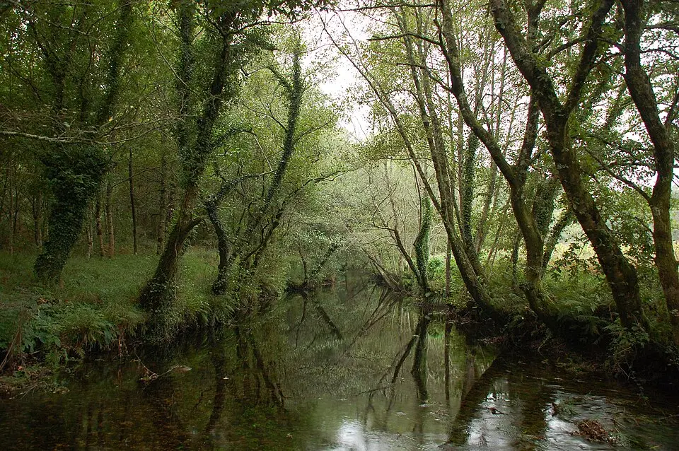 Barcala River