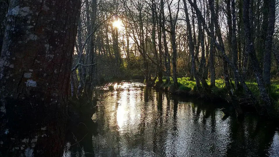 Río Cabalar
