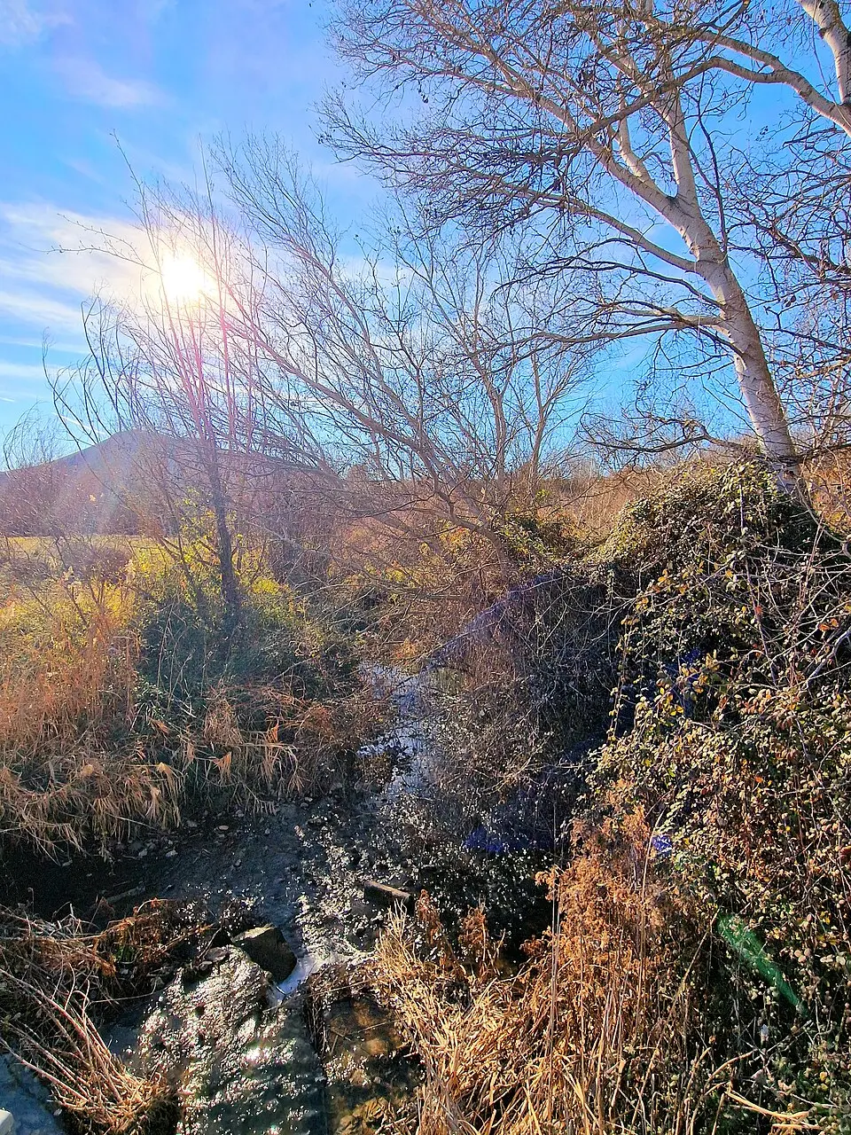 Río Cubillas