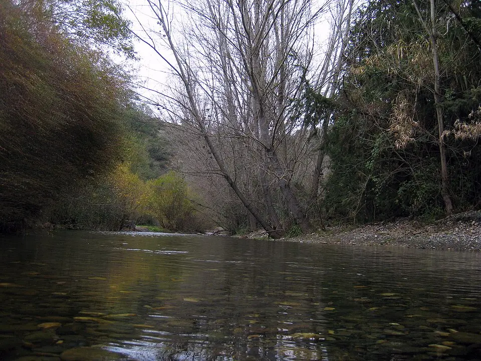 Río Genal