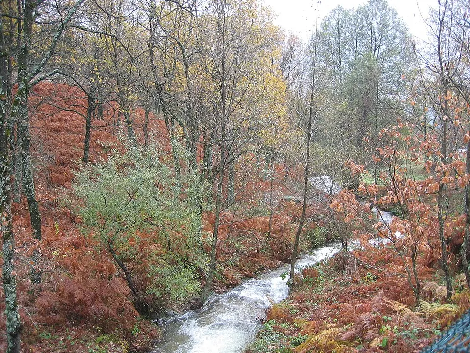 Image: Koramchad · CC BY 2.0 río Guadalix