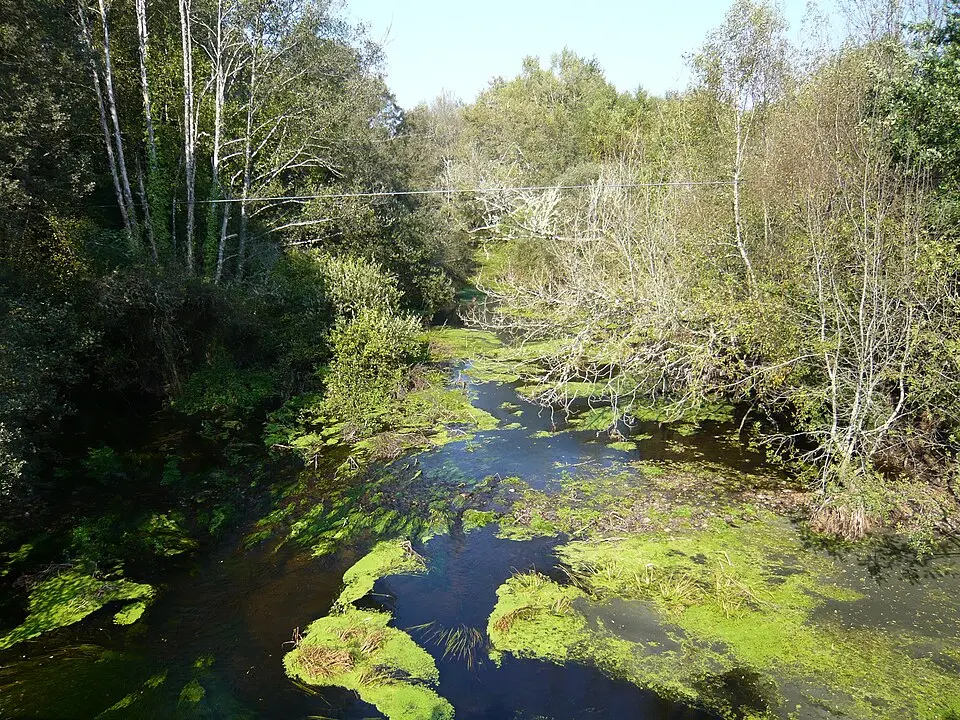 Río Ladra