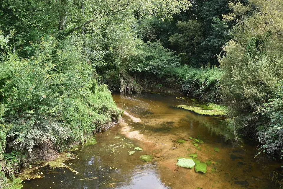 Río Lea