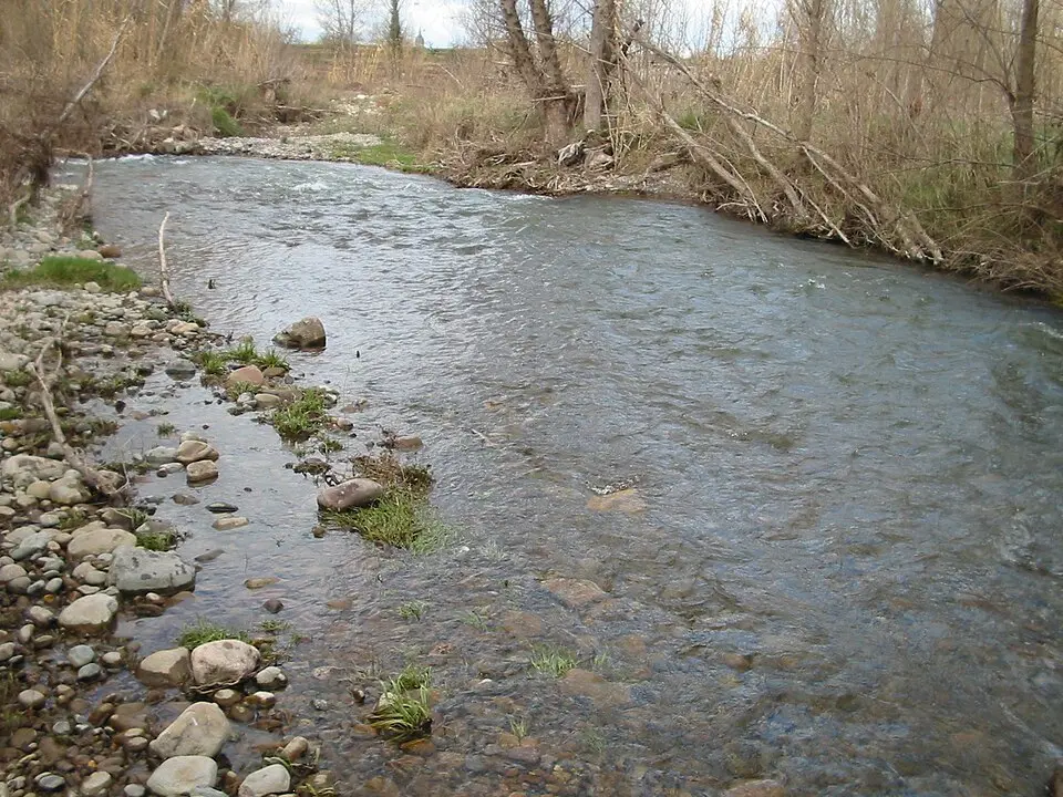 Image: Luis Javier Modino Martinez · CC BY 2.0 Leza