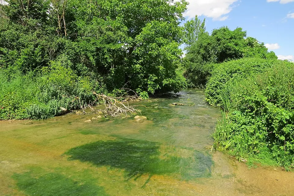 Río Oroncillo
