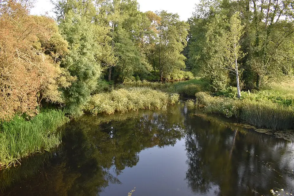 Río Támoga