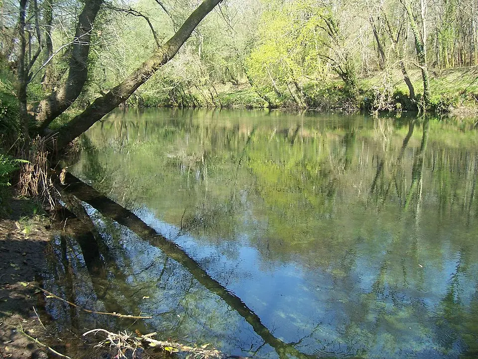 Río Tea
