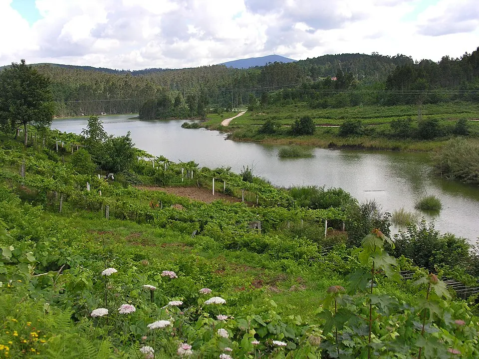 Umia River