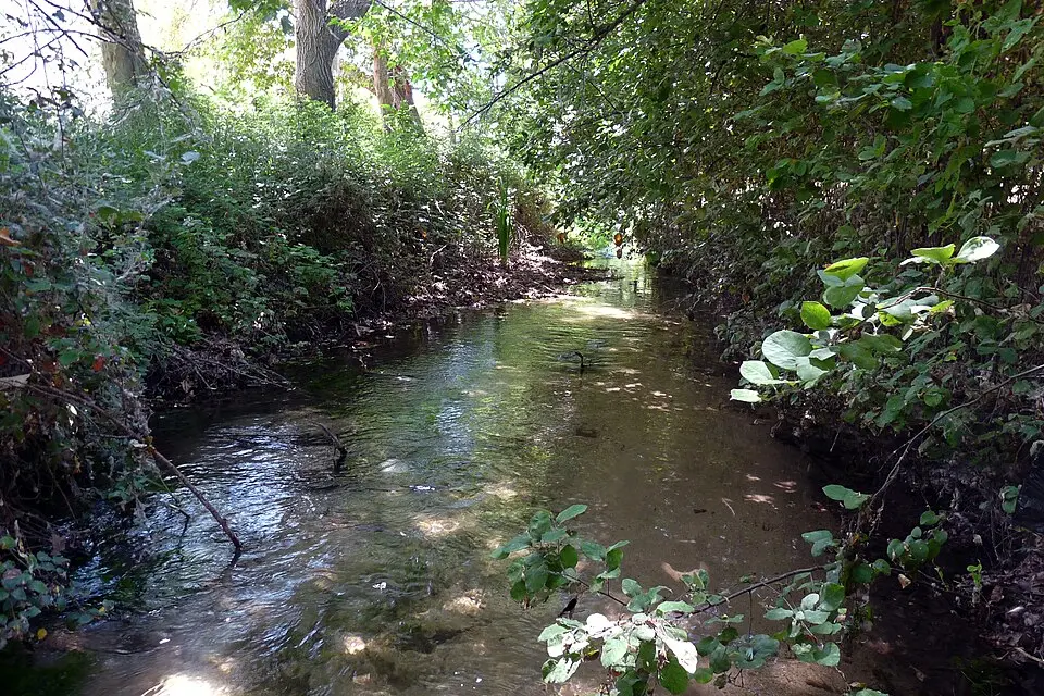 Ungría River
