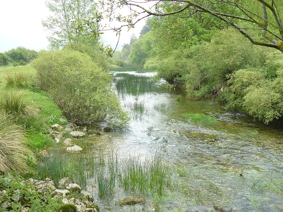Jerea