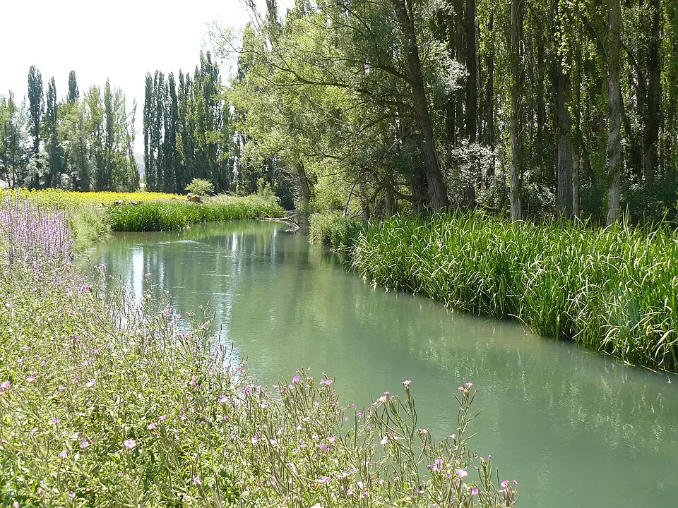 río Riaza