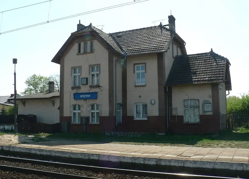 Różyny