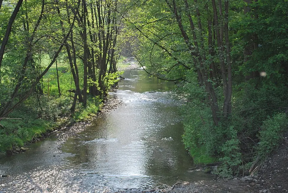 Röhr
