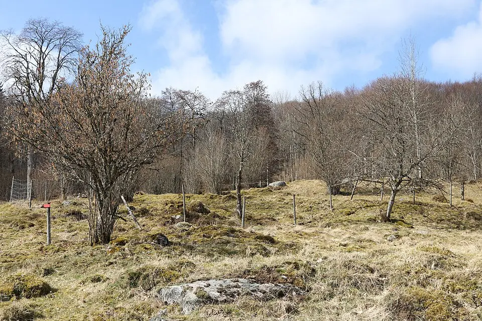 Rölle