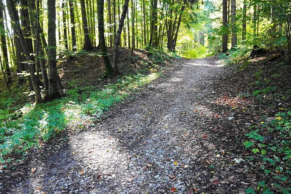 Römischer Straßenzug zwischen Warmbad Villach und Oberfederaun in Federaun