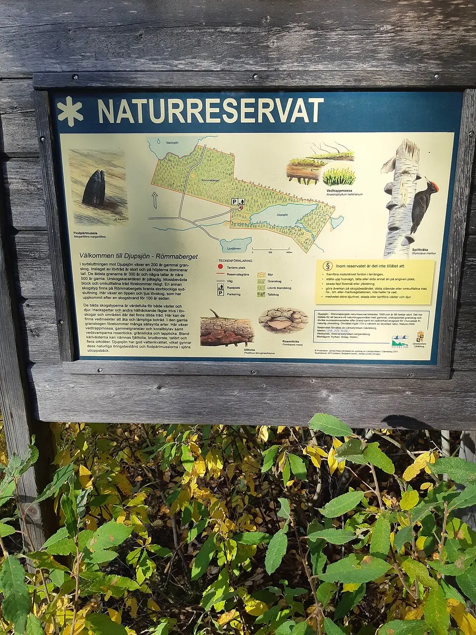 Djupsjön-Römmaberget