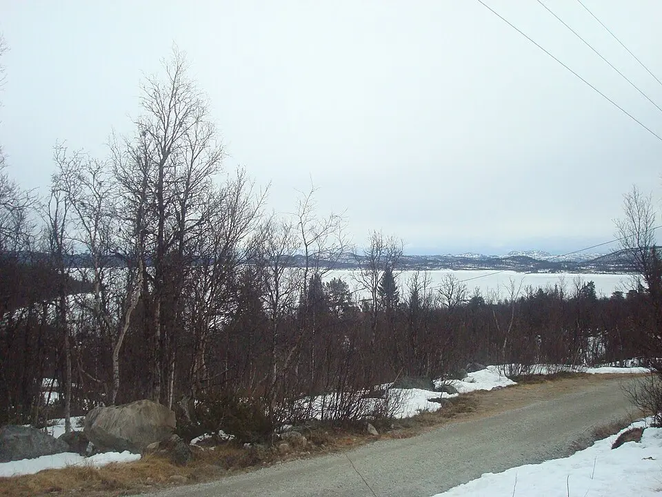 Rødungen i Ål