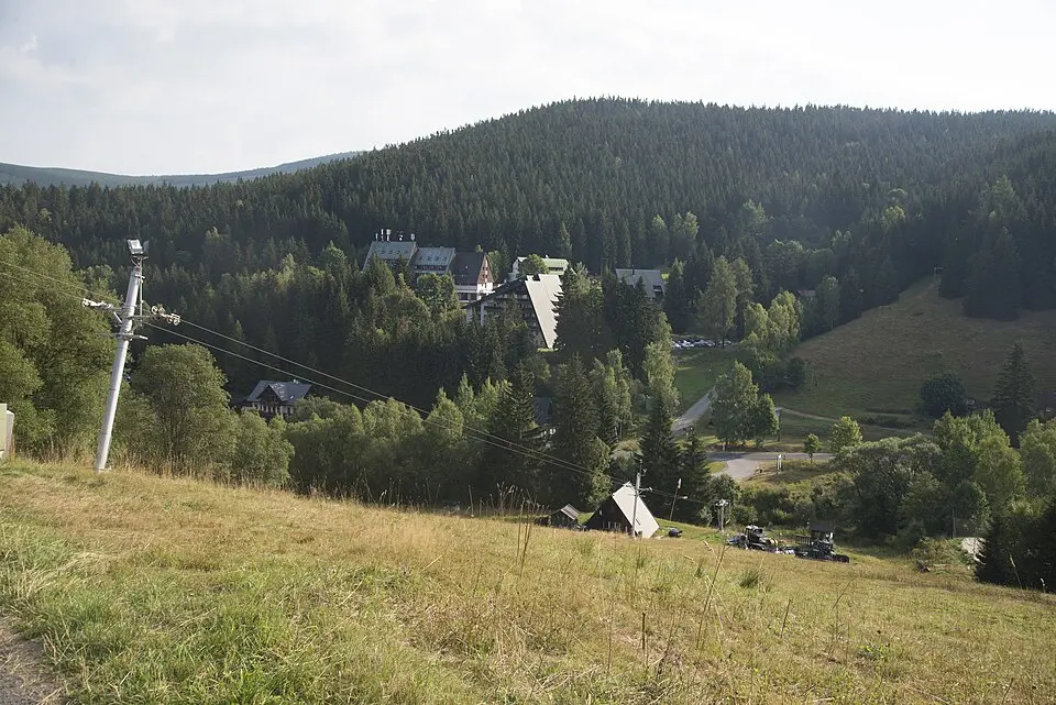 Ryžoviště