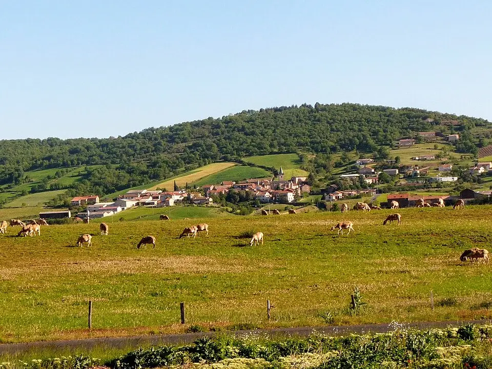 Rebourguil
