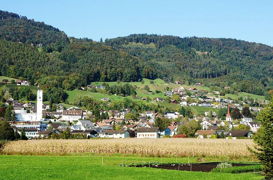 Rebstein