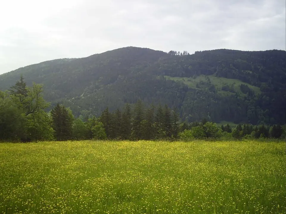 Rechelkopf