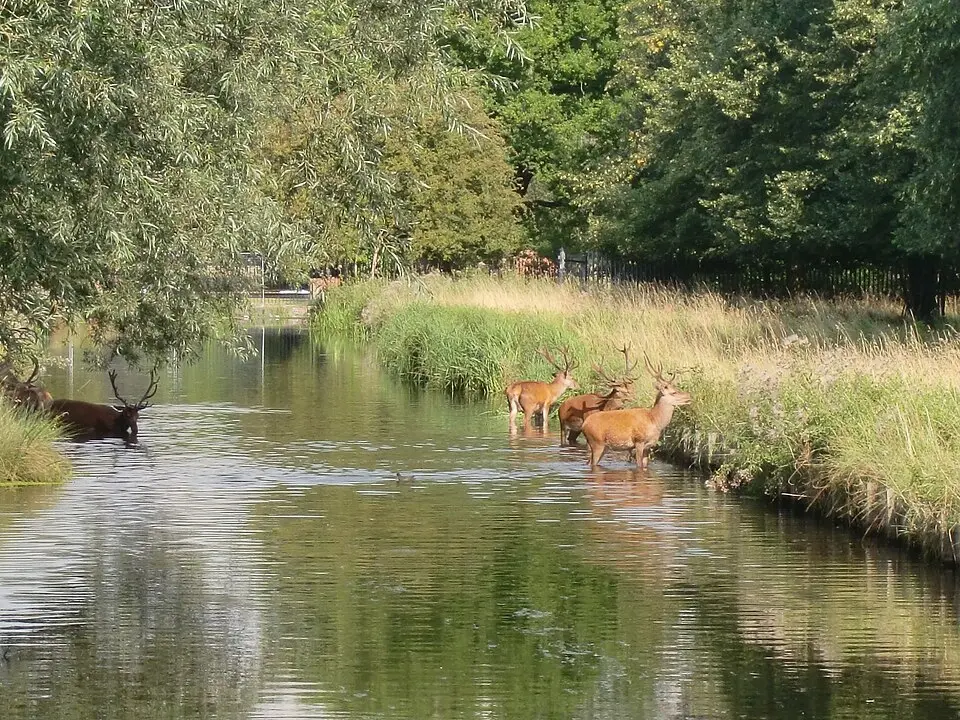 Image: Jonathan Cardy · CC BY-SA 3.0 Longford River