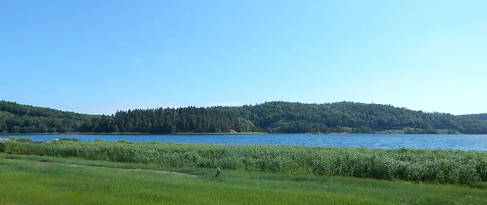 Reddalsvannet