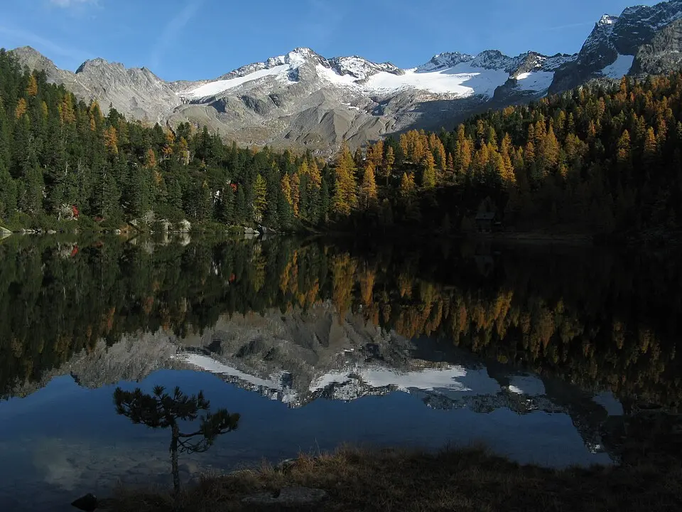 Bild: Sylvius · CC BY-SA 3.0 AT Tischlerkarkopf