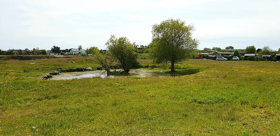 Skansen