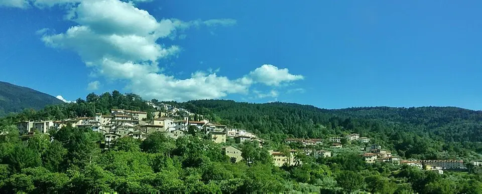 Tosi