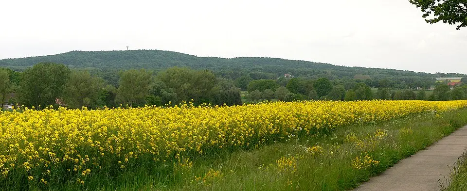 Rehburger Berge