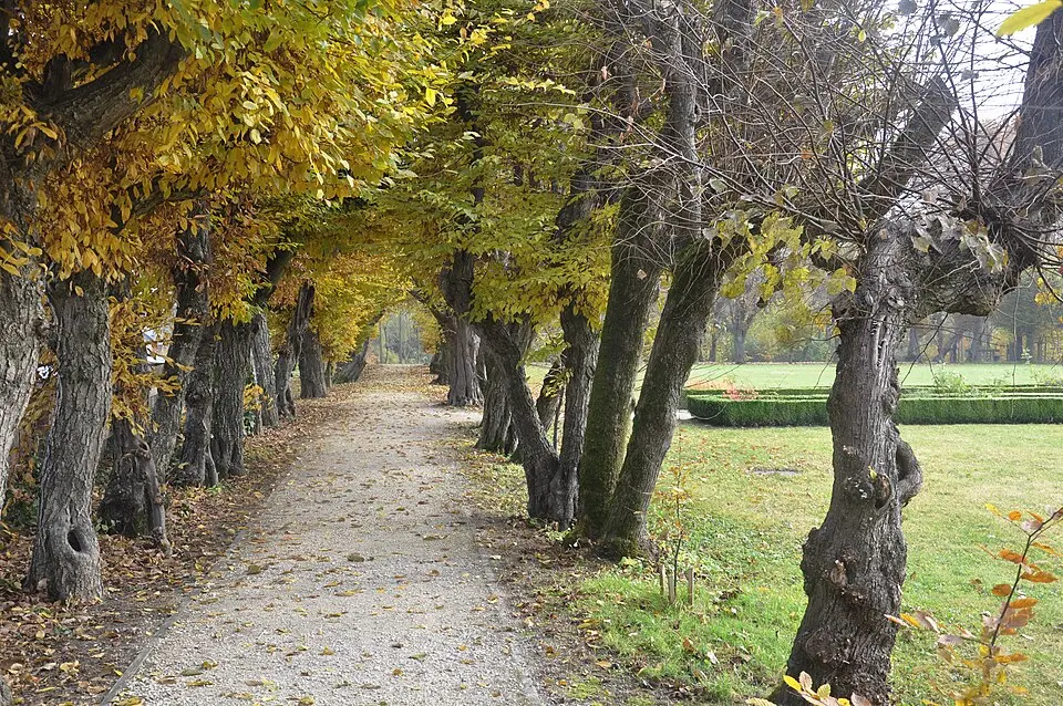Gartenbaudenkmäler, Herrengarten
