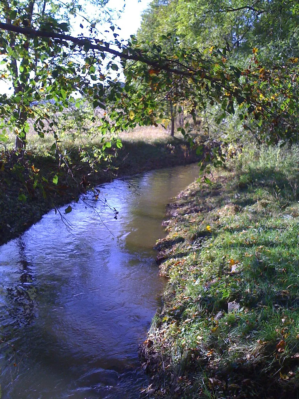 Reide (Weiße Elster)