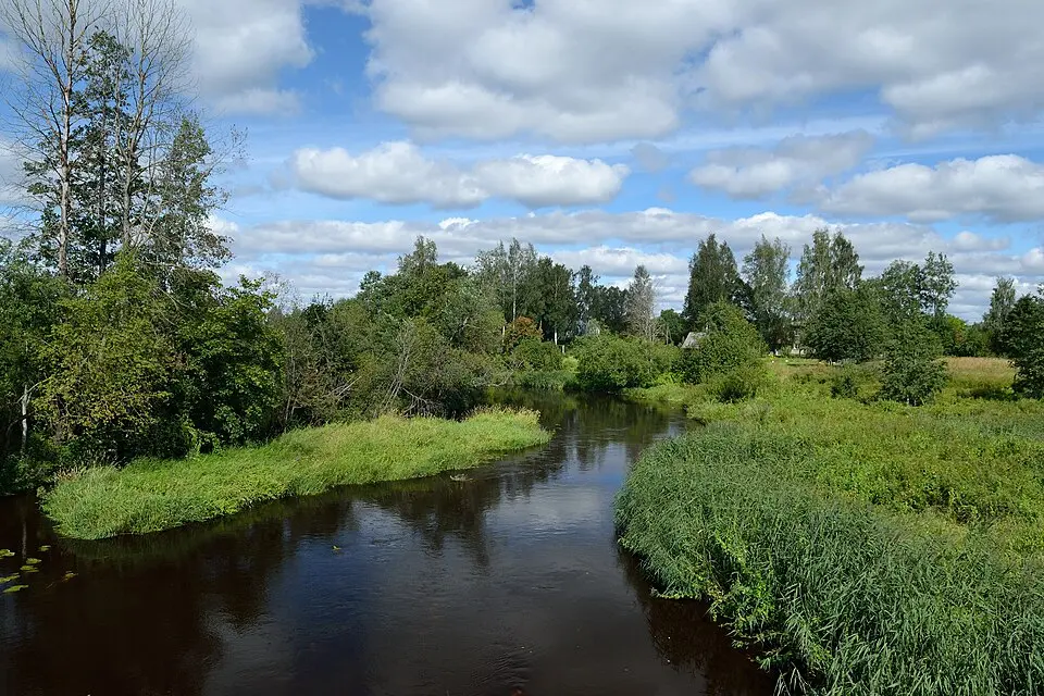 Surju Rural Municipality