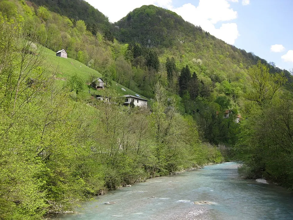 Bača