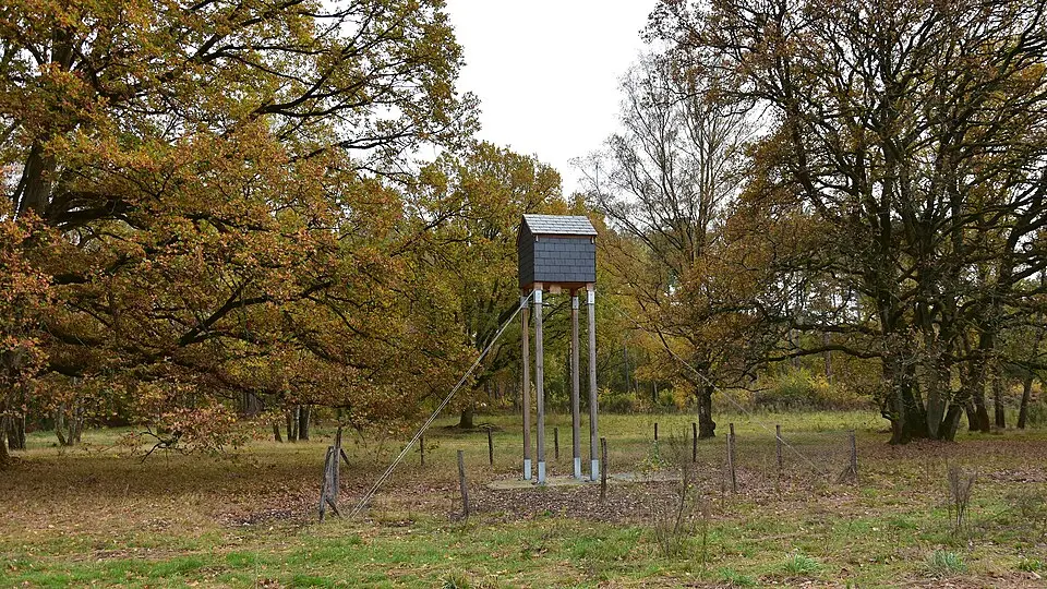Molenberg