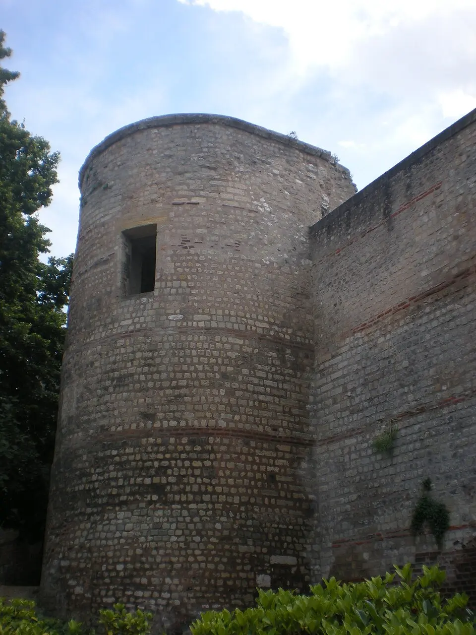 Caesaromagus
