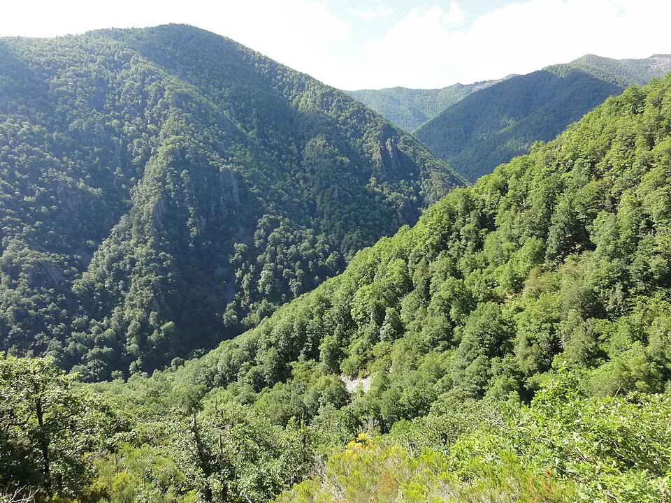 Muniellos