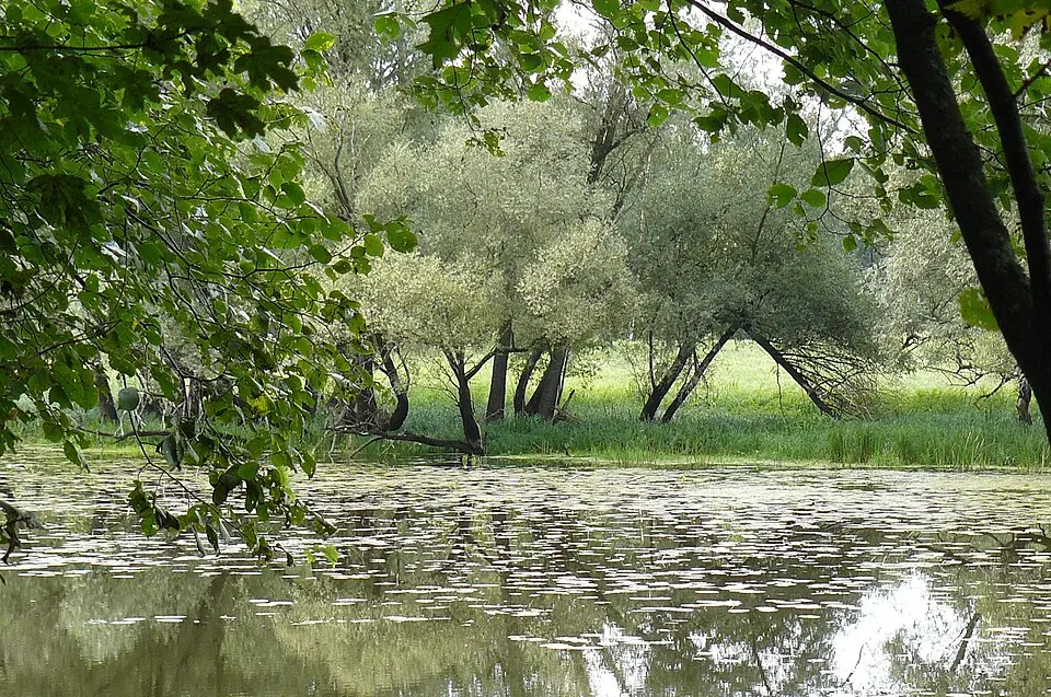 Żerkowsko-Czeszewski Park Krajobrazowy