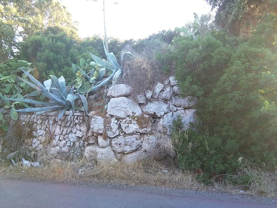 Habitaciones Prehistóricas de Vallgornera Vell (Sa Marina)