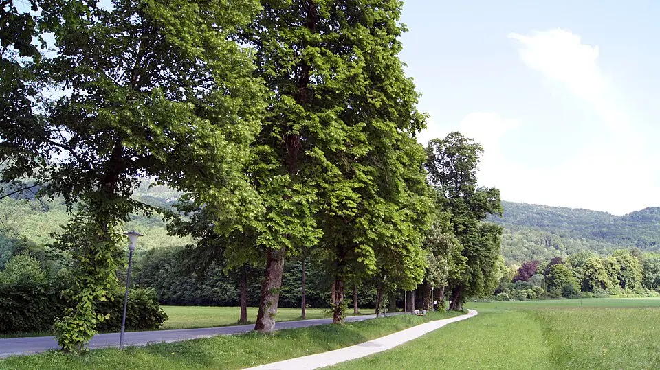 Revertera Allee
